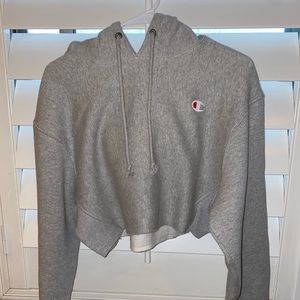 Champion & UO Cropped Hoodie Size X-Small
